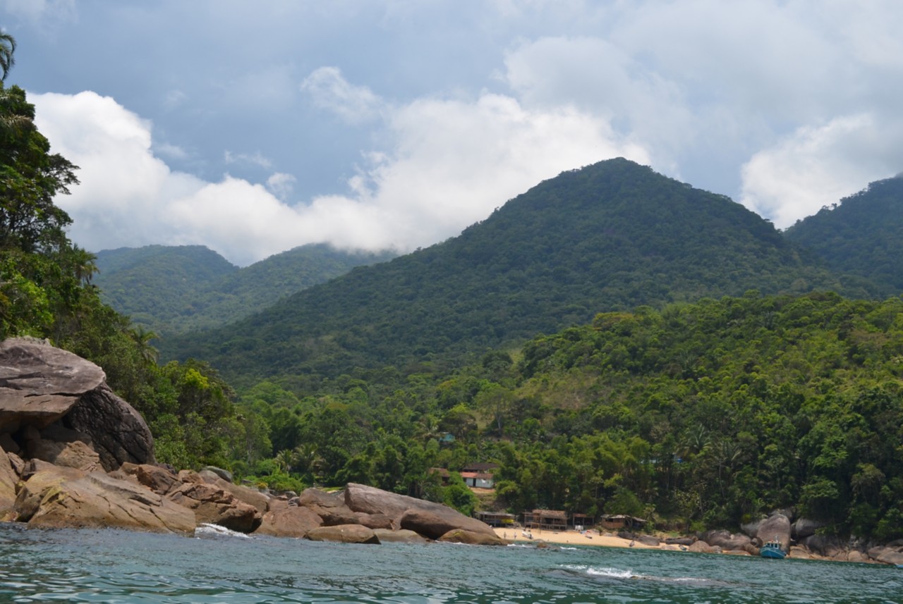  Mata Atlântica in Parati/RJ ©Andrea Herrera 