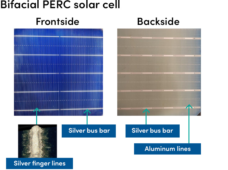 TOPCON solar cell with metal paste 