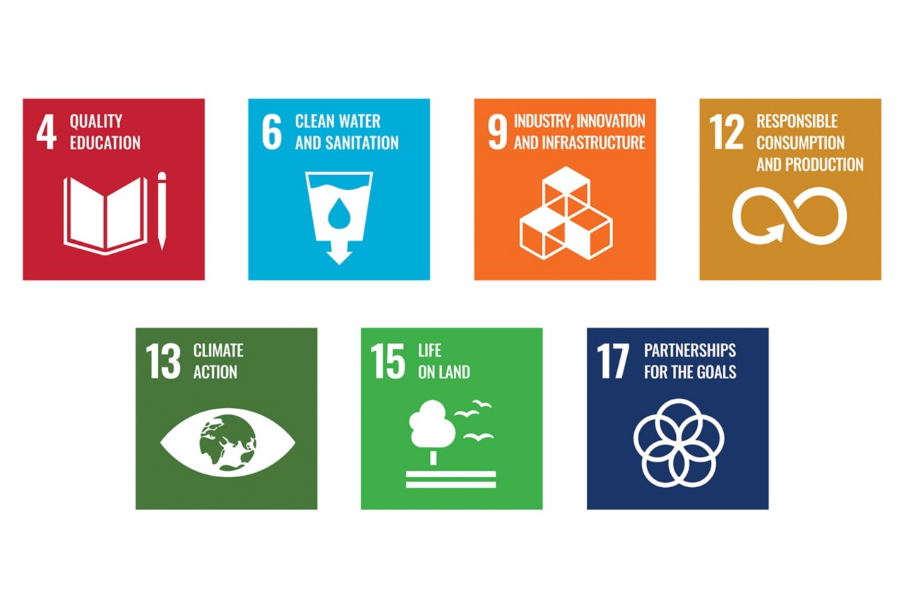 Naia sustainable development goals. 